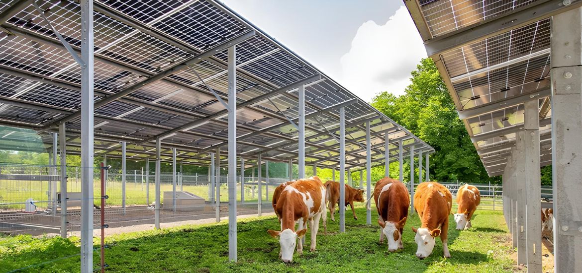 SUNfarming and SPIE to Install Major Transformers for Green Energy Hub