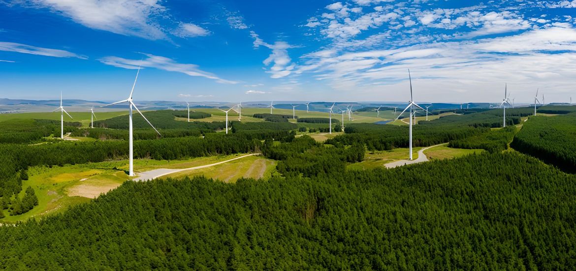 Germany’s Wind Auction Hits 3 GW Record