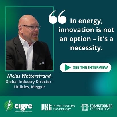 Meet Niclas Wetterstrand, Global Industry Director - Utilities, Megger