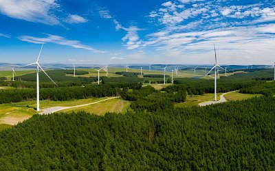 Germany’s Wind Auction Hits 3 GW Record